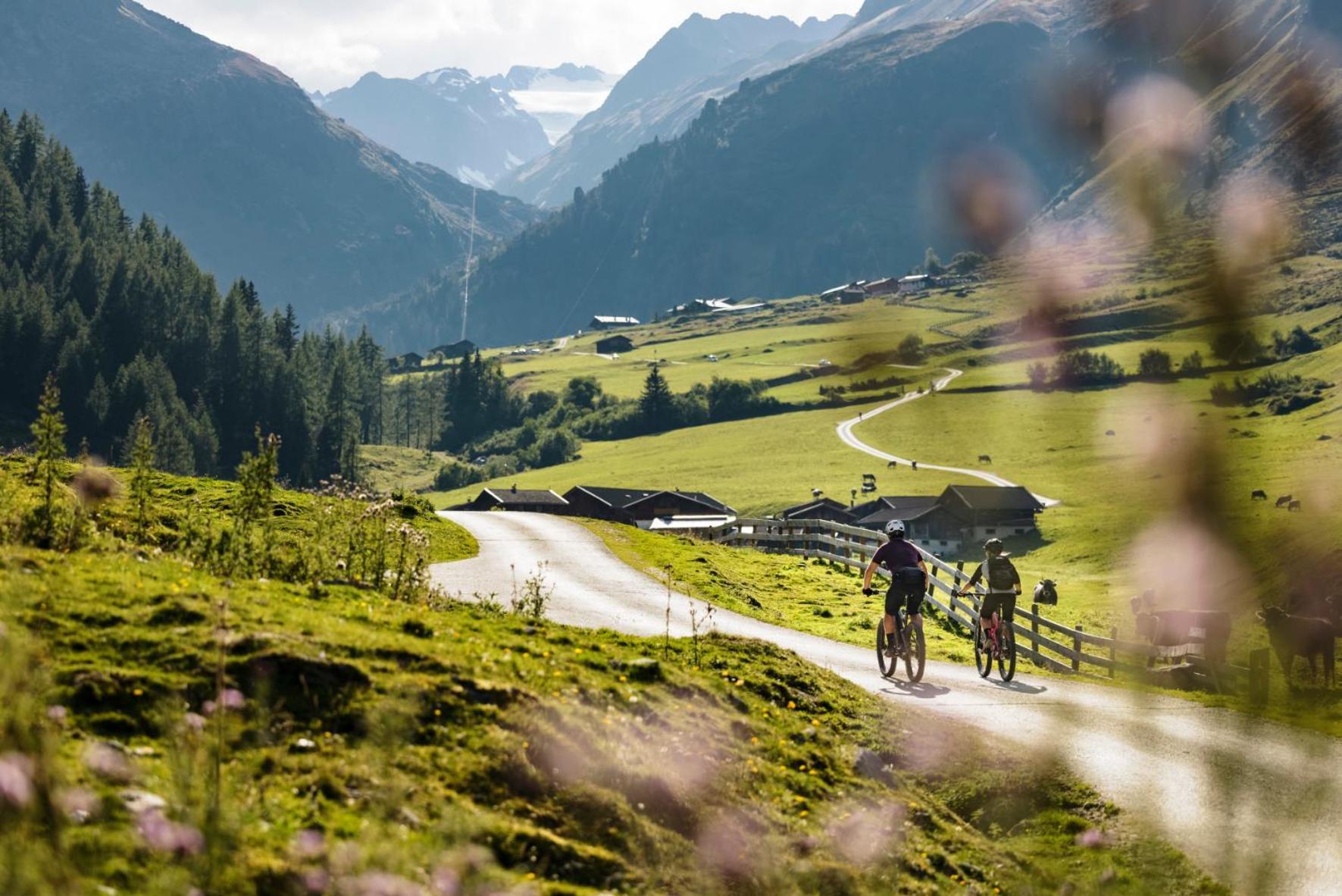 Stoanmandl Wohlfuehlappartements Neustift im Stubaital Kültér fotó
