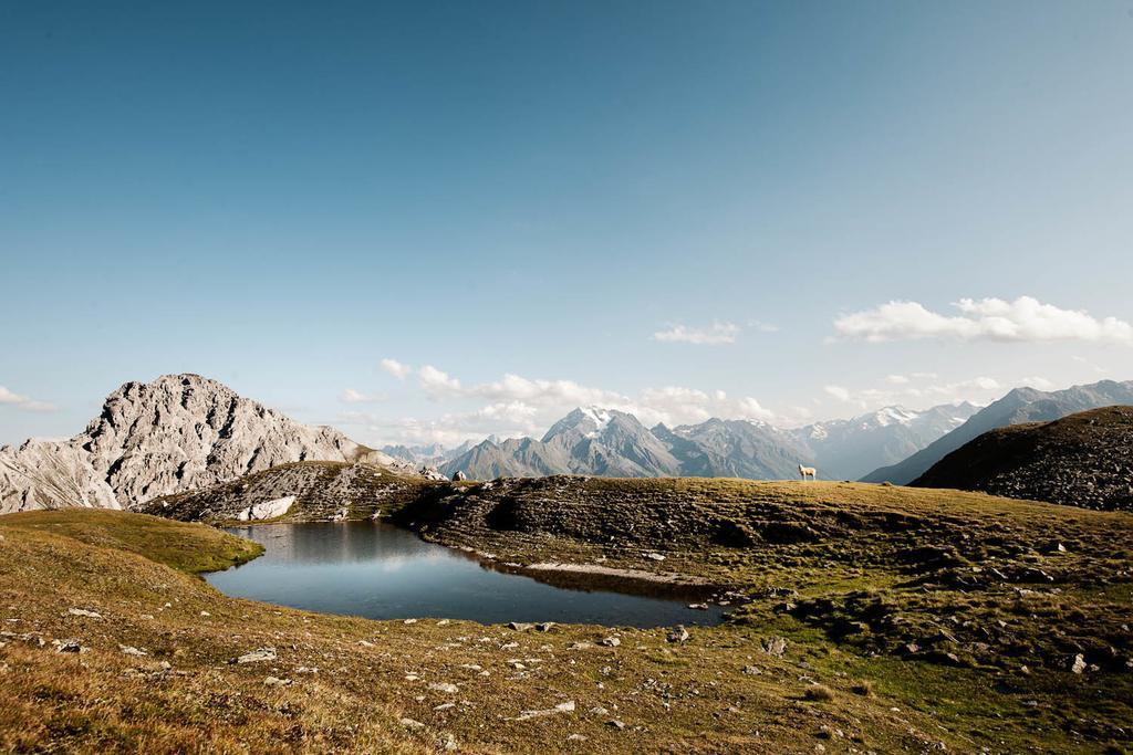 Stoanmandl Wohlfuehlappartements Neustift im Stubaital Kültér fotó